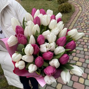 букет 51 біло-рожевий тюльпан фото
