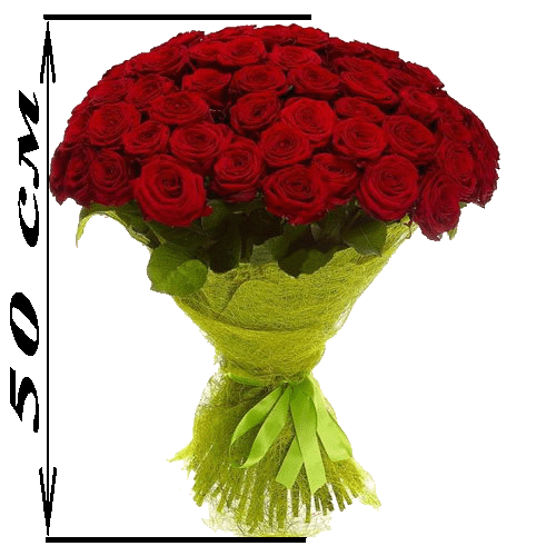 Фото товара 101 красная роза (50см) в Чернигове