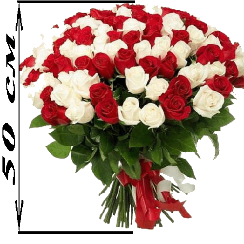 Фото товара 101 роза микс красная и белая (50 см) в Чернигове