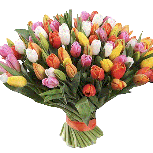 Фото товара 101 разноцветный тюльпан в Чернигове