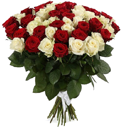 Фото товара 51 роза красная и белая в Чернигове