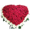 Фото товара 101 роза сердцем - белая, красная в Чернигове