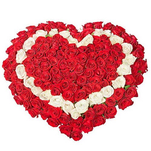 Фото товара 101 роза сердцем - красная, белая, красная в Чернигове