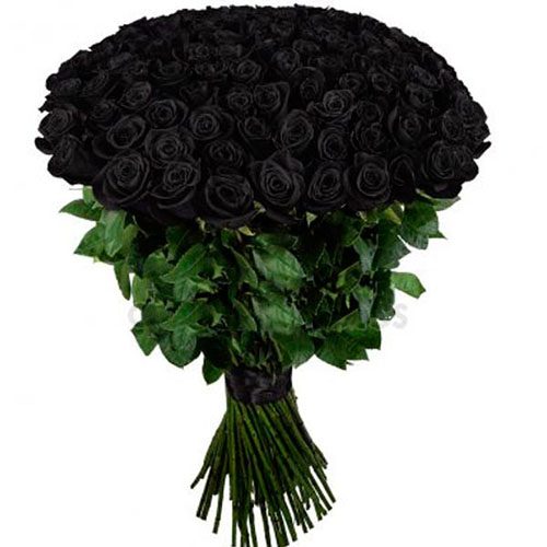 Фото товара 101 черная роза в Чернигове