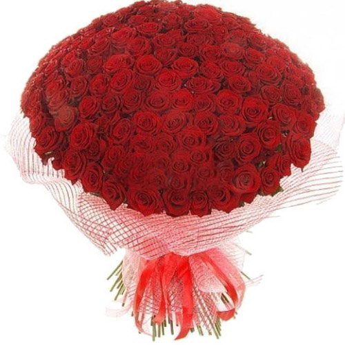 Фото товара 201 красная роза в Чернигове