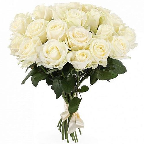 Фото товара 21 белая роза в Чернигове