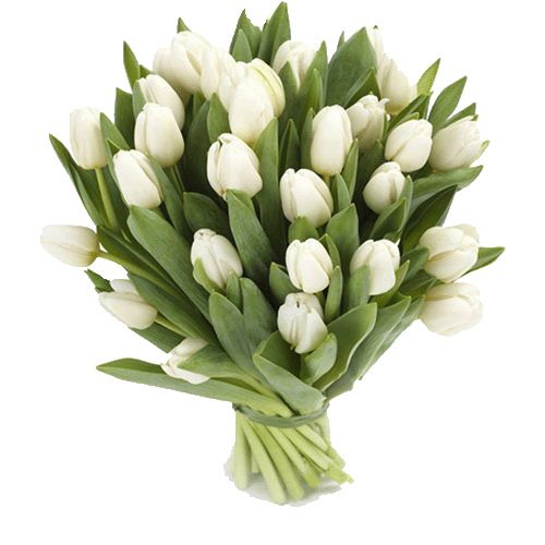 Фото товара 25 белых тюльпанов в Чернигове