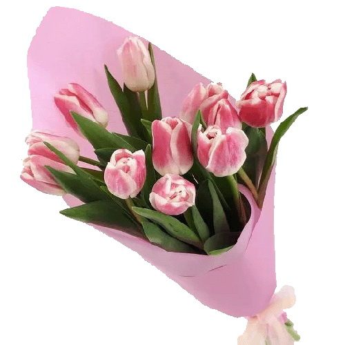 Фото товара 11 розовых тюльпанов в Чернигове
