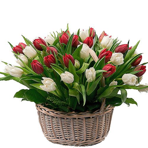 Фото товара 51 тюльпан в корзине в Чернигове