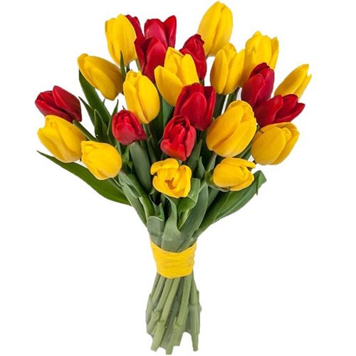 Фото товара 15 красно-жёлтых тюльпанов (с лентой) в Чернигове
