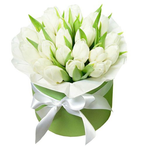 Фото товара 21 белый тюльпан в коробке в Чернигове