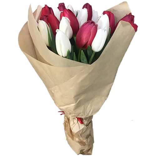 Фото товара 21 красно-белый тюльпан в крафт в Чернигове