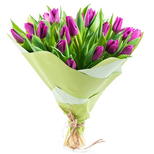 Фото товара 25 пурпурных тюльпанов в Чернигове