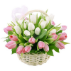Фото товара 25 нежно-розовых тюльпанов в Чернигове