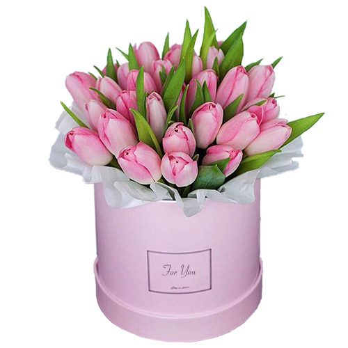 Фото товара 31 нежно-розовый тюльпан в коробке в Чернигове