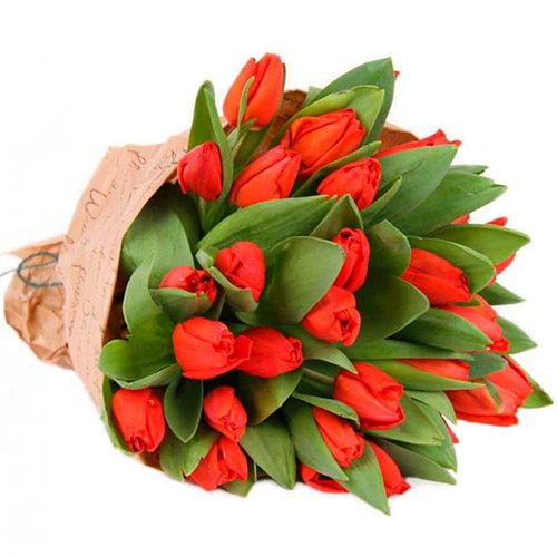 Фото товара 35 красных тюльпанов в "газете" в Чернигове