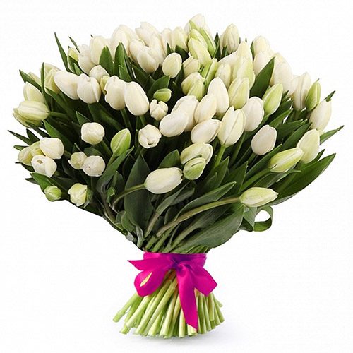 Фото товара 51 белый тюльпан "Джульетта" в Чернигове