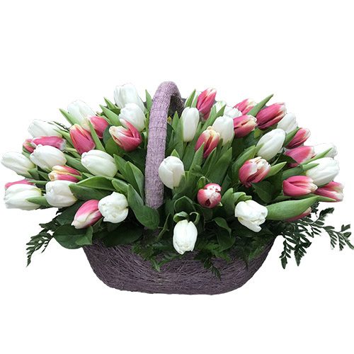 Фото товара 51 бело-розовый тюльпан в корзине в Чернигове