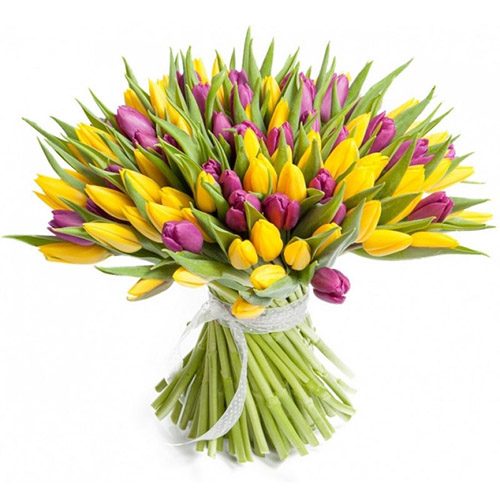 Фото товара 75 фиолетово-жёлтых тюльпанов в Чернигове