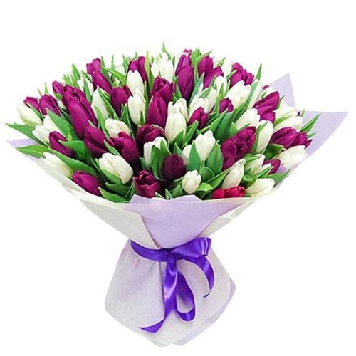 Фото товара 75 пурпурно-белых тюльпанов в Чернигове