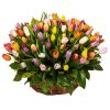Фото товара 75 тюльпанов микс (все цвета) в корзине в Чернигове