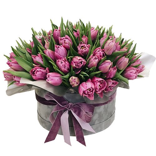 Фото товара 101 пурпурный тюльпан в коробке в Чернигове