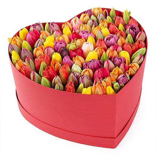 Фото товара 101 тюльпан в коробке сердцем в Чернигове
