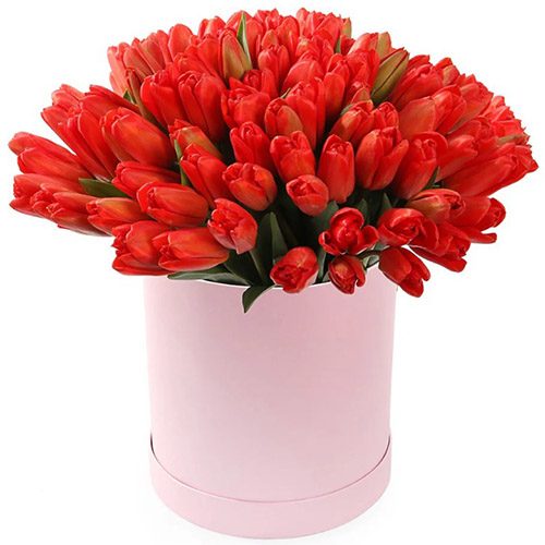 Фото товара 101 красный тюльпан в коробке в Чернигове