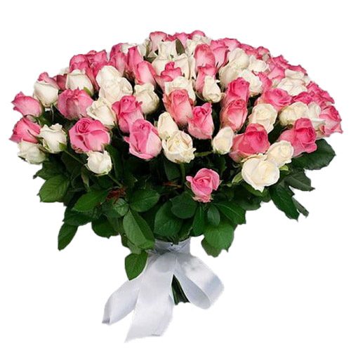 Фото товара 101 белая и розовая роза в Чернигове