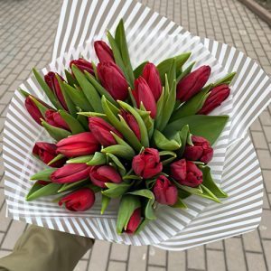 Червоні тюльпани 21 штука фото