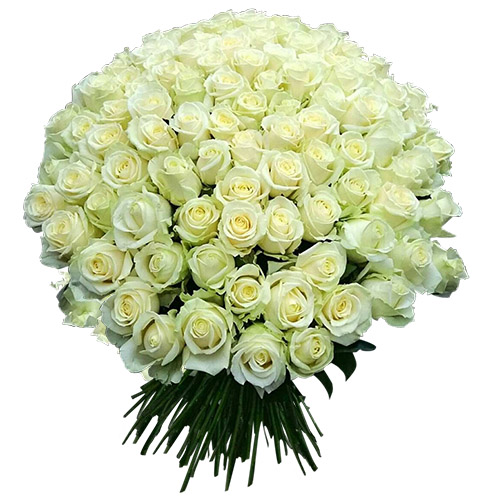 Фото товара 101 белая роза в Чернигове