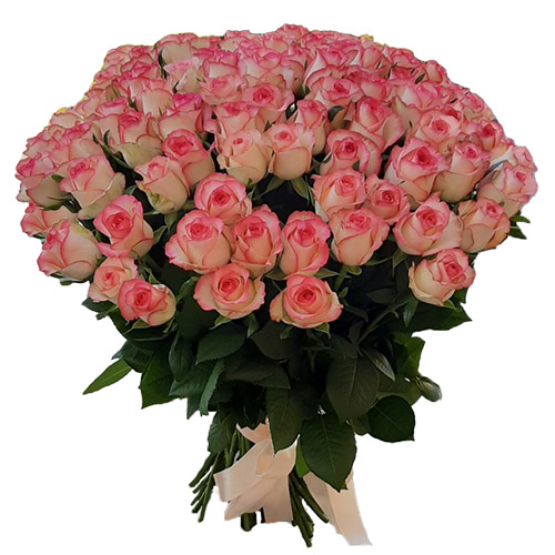Фото товара 101 роза "Джумилия" в Чернигове