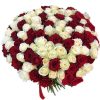 Фото товара 101 красная и белая роза в Чернигове