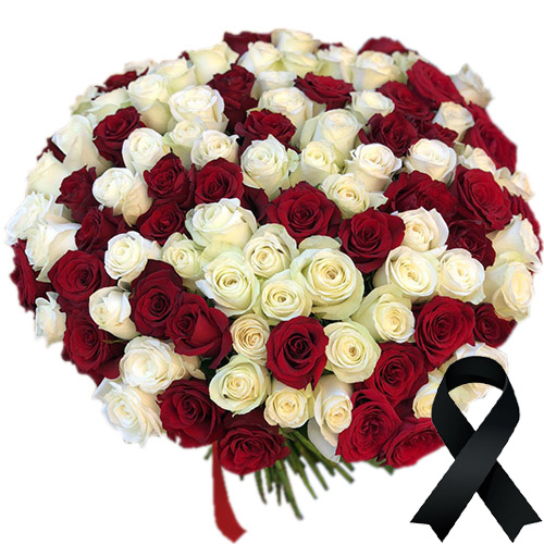 Фото товара 100 красно-белых роз в Чернигове