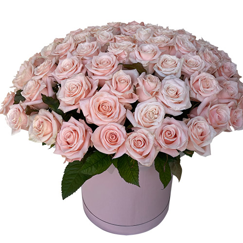 Фото товара 101 розовая роза в коробке в Чернигове