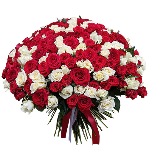 Фото товара 201 красная и белая роза в Чернигове