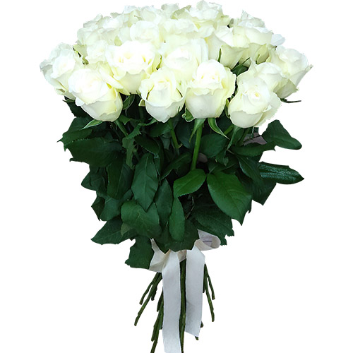 Фото товара 25 белых роз в Чернигове