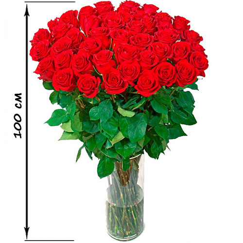 Фото товара 35 высоких роз (100 см) в Чернигове