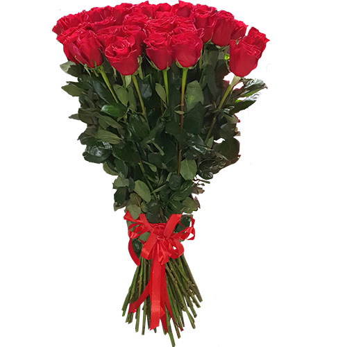 Фото товара 25 метровых роз "Фридом" в Чернигове