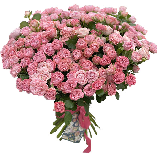 Фото товара 33 кустовые пионовидные розы в Чернигове