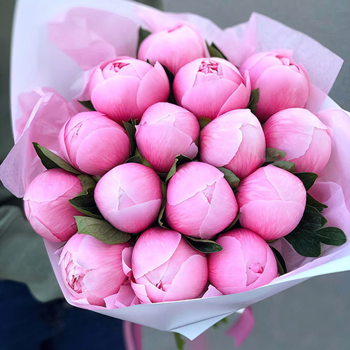 Фото товара 15 рожевих півоній в Чернигове