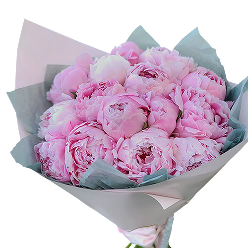 Фото товара 19 розовых пионов в Чернигове