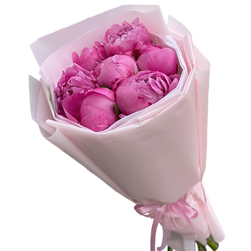 Фото товара 7 розовых пионов в Чернигове