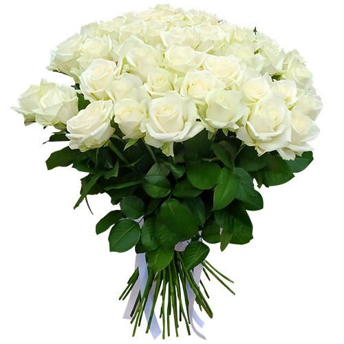 Фото товара 51 роза белая в Чернигове