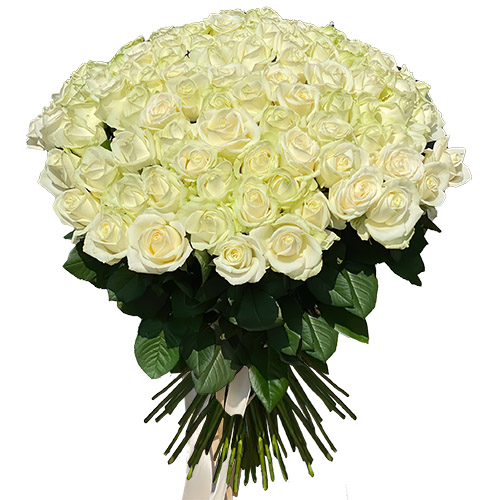 Фото товара 101 роза белая в Чернигове