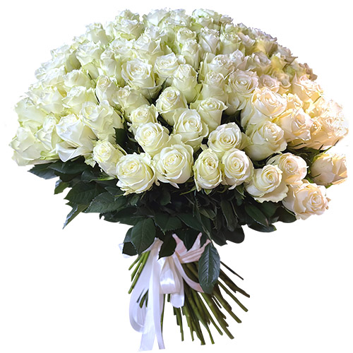 фото товара 101 біла імпортна троянда | «Цветочная почта»
