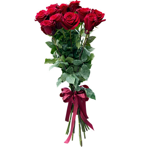 Фото товара 11 метровых роз в Чернигове