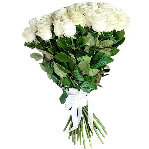 Фото товара 33 білі троянди в Чернигове