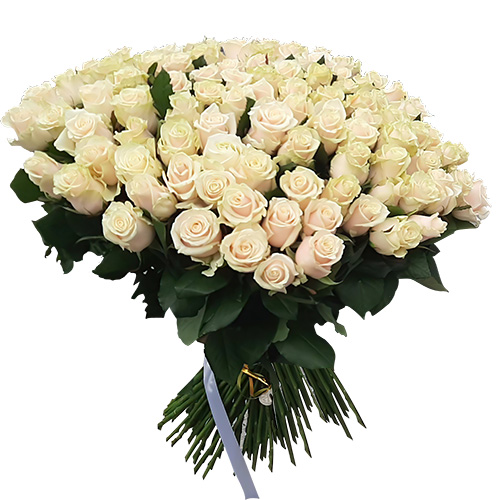 Фото товара Букет из 101 кремовой розы в Чернигове