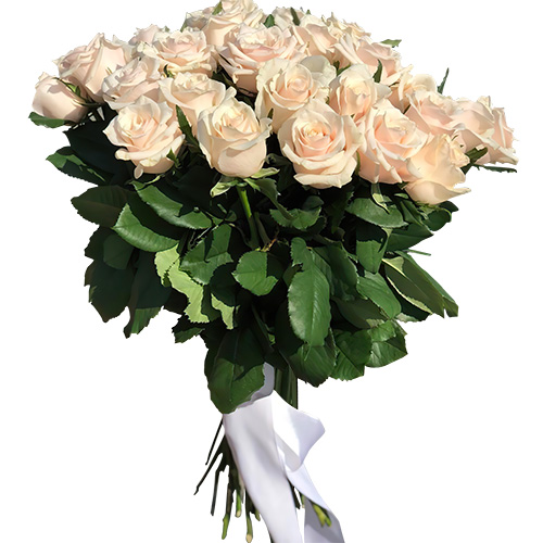 Фото товара Букет із 33 кремових троянд в Чернигове